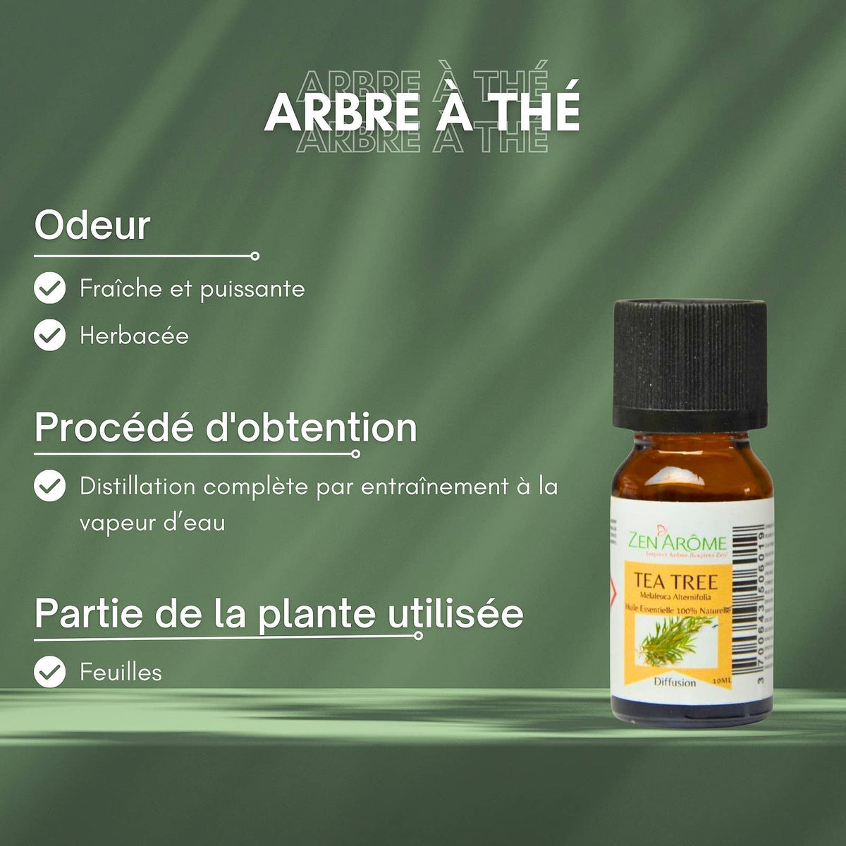 Zen'Arôme - Olio Essenziale di Tea Tree 100% Naturale - 10 ml