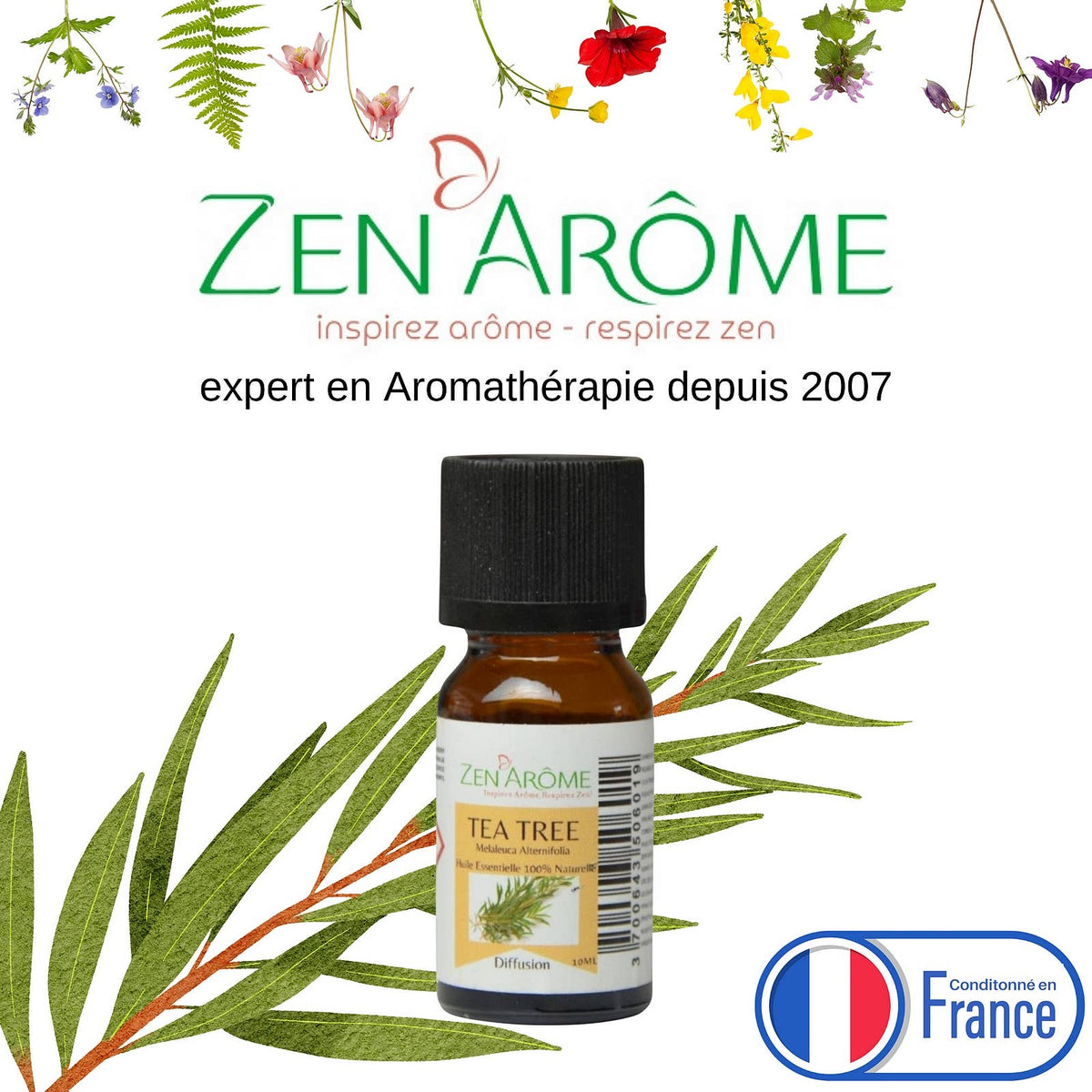 Zen'Arôme - Olio Essenziale di Tea Tree 100% Naturale - 10 ml