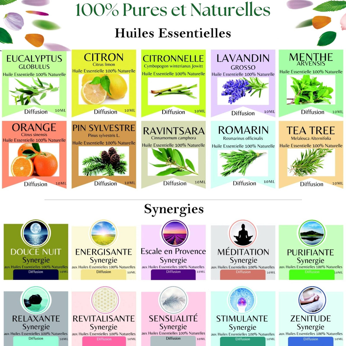 Zen'Arôme - Set oli essenziali - pack iniziale con espositore gratuito