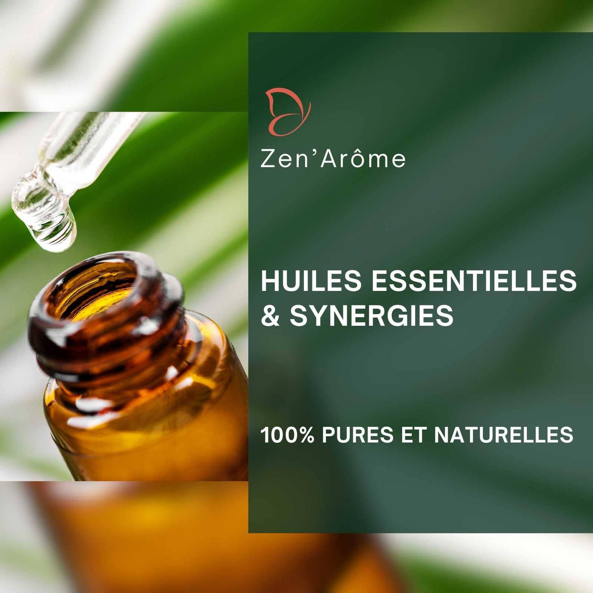 Zen'Arôme - Set oli essenziali - pack iniziale con espositore gratuito