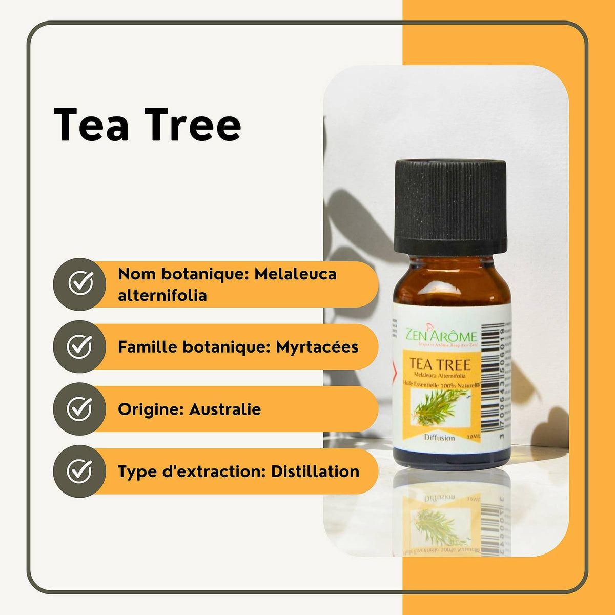 Zen'Arôme - Olio Essenziale di Tea Tree 100% Naturale - 10 ml